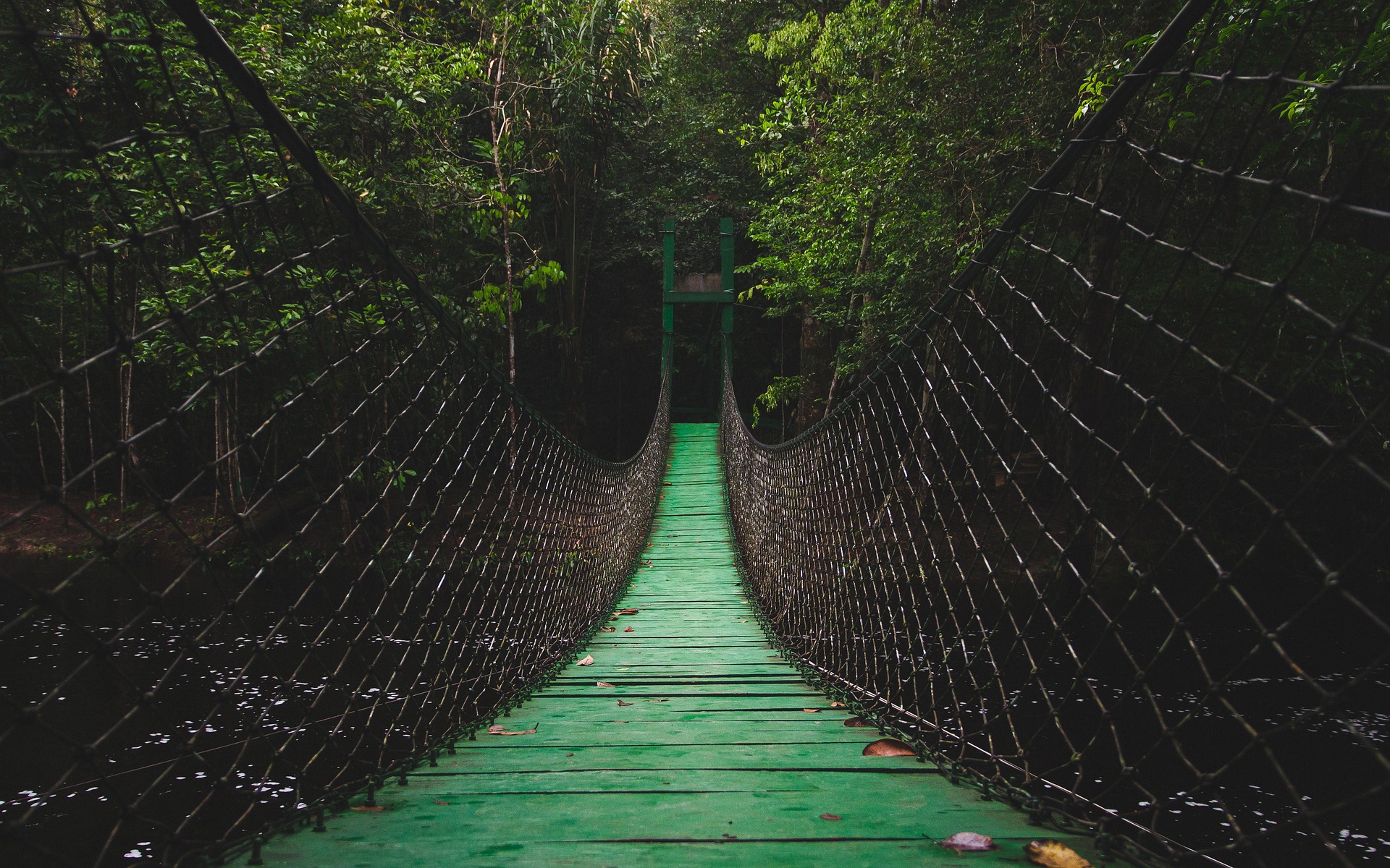 À propos. Pont de singe au Costa Rica, suspendu au-dessus de la jungle luxuriante, offrant une expérience unique en pleine nature.