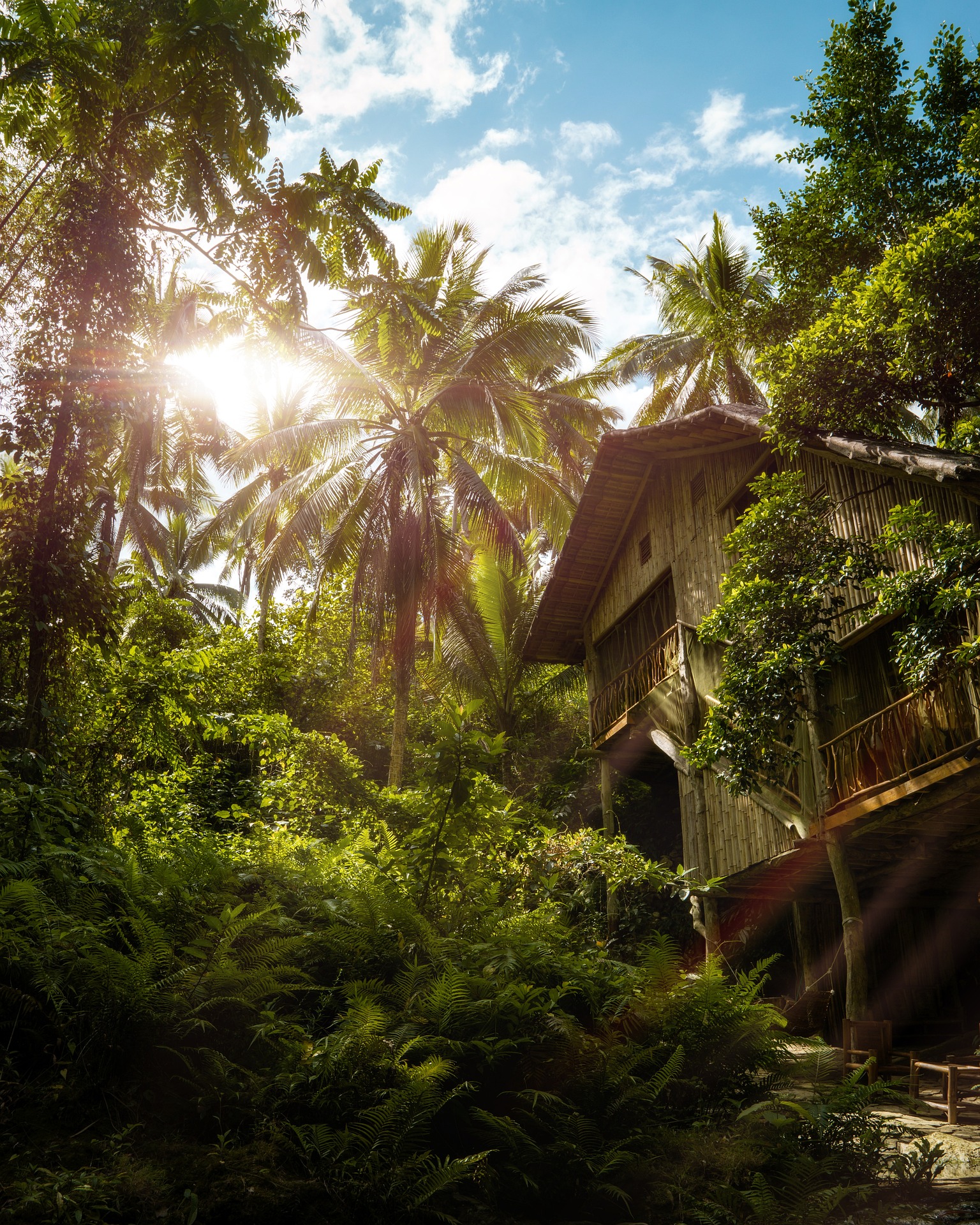 Kavanaia. Cabane en bois nichée dans la jungle tropicale avec végétation luxuriante